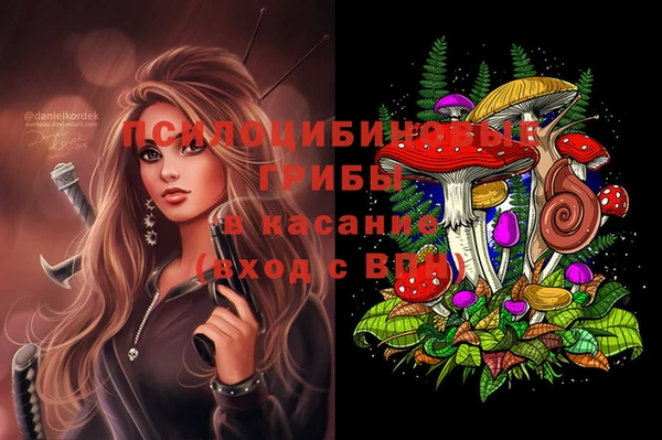 ешки Нефтегорск