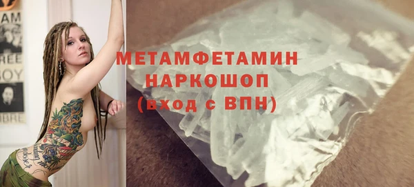 крисы Новозыбков