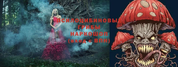 ешки Нефтегорск