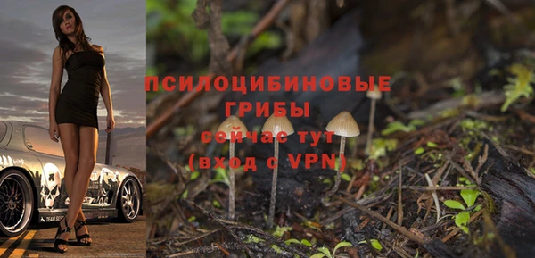 ешки Нефтегорск