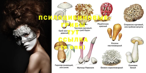 мефедрон Нефтекумск