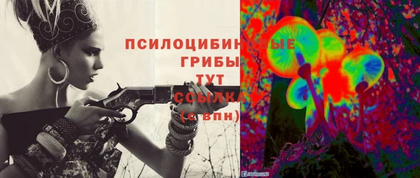 ешки Нефтегорск