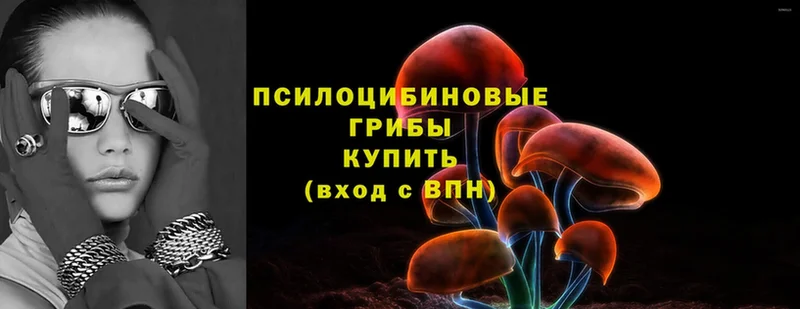 Галлюциногенные грибы Cubensis  Нюрба 