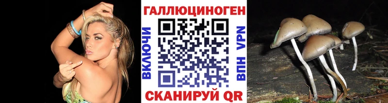 hydra как войти  Нюрба  Псилоцибиновые грибы Cubensis 